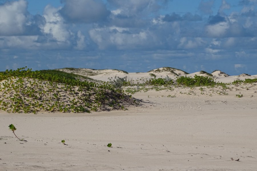 Ile de Benguerra. Elisa Vallon