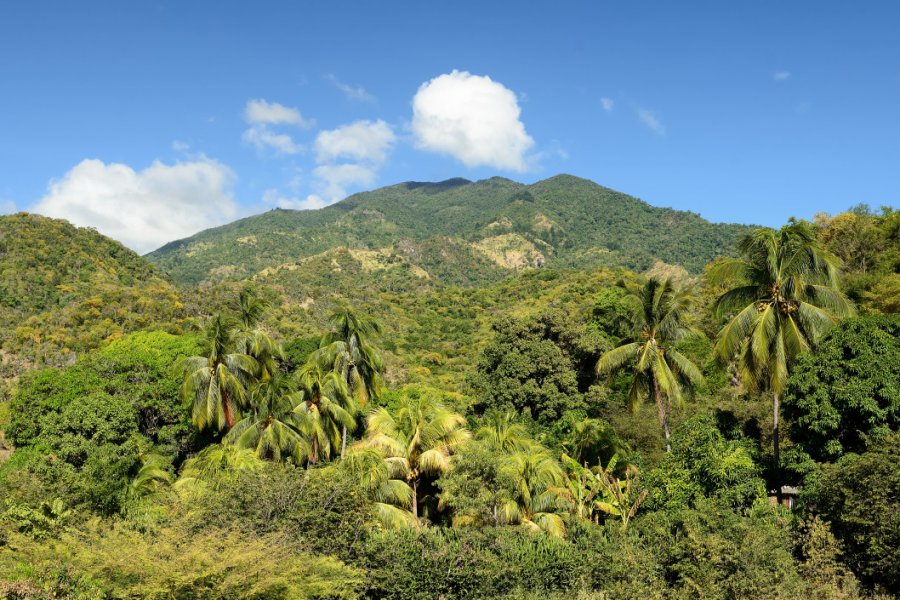 Parque nacional Turquino. Rafal Cichawa - Shutterstock.com