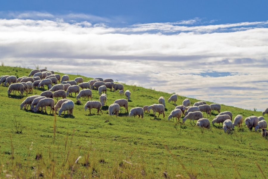 Agrigente. Arghman - iStockphoto