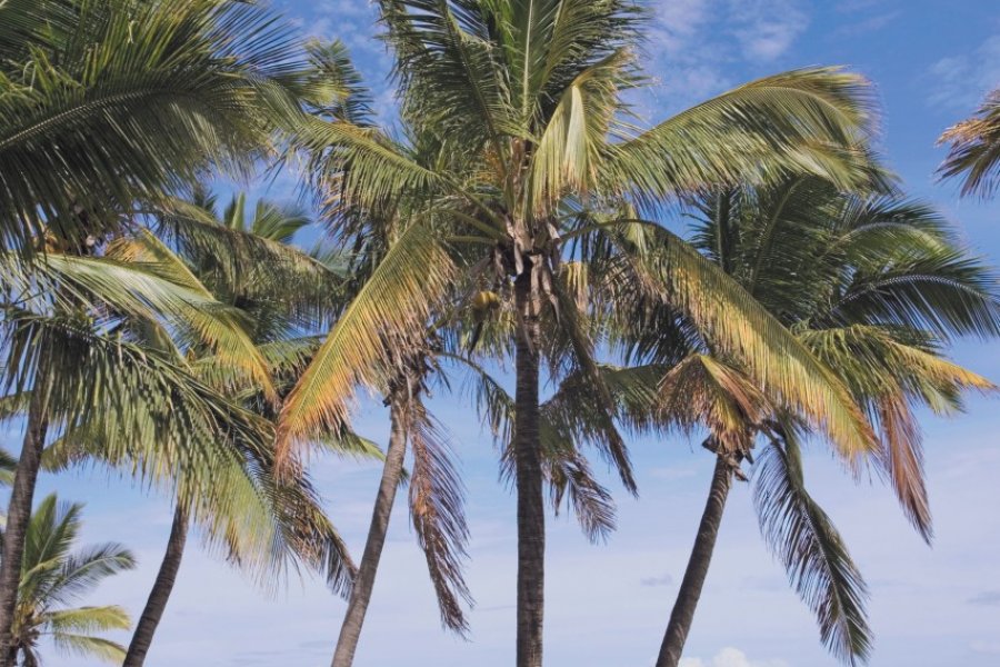 Plage de Grande-Anse. (© Author's Image))