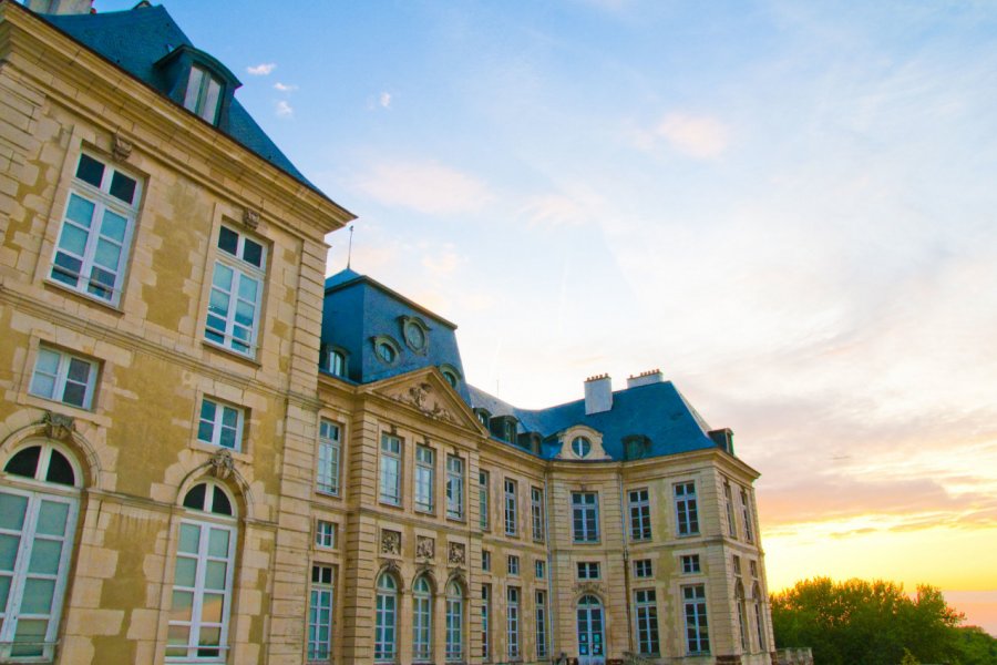 Château de Brienne-le-Château OT Grands Lacs de Champagne - Geoffroy Froment