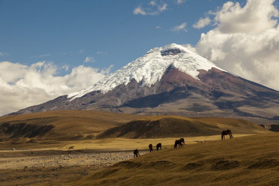 Le volcan Cotopaxi. Ecuadorpostales - Shutterstock.com