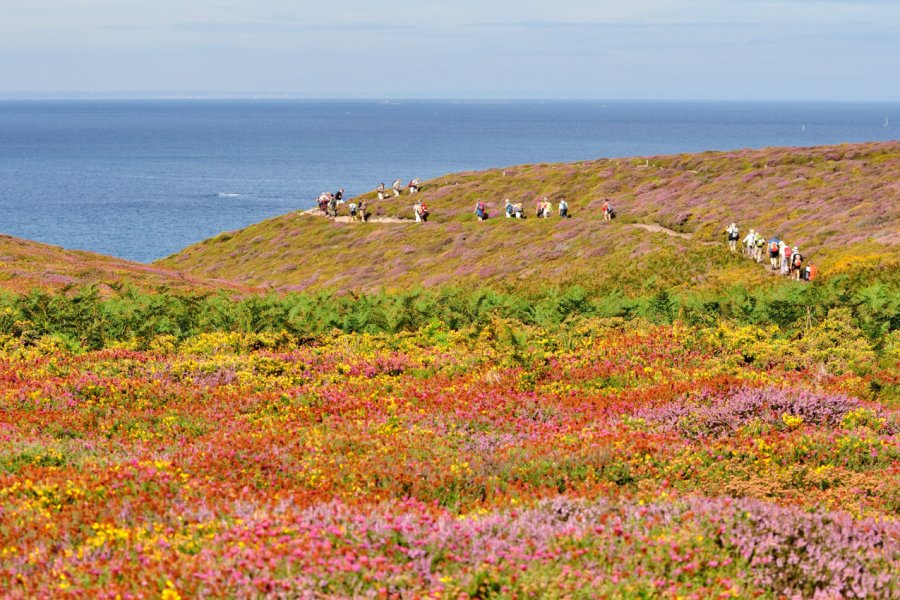 Sentier de randonnée dans la lande du cap Fréhel. aquaphoto - stock.adobe.com