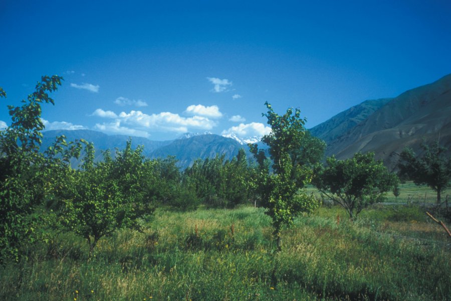 Tadjikistan, paysage autour d'Iskanderkul. Sylvie FRANCOISE