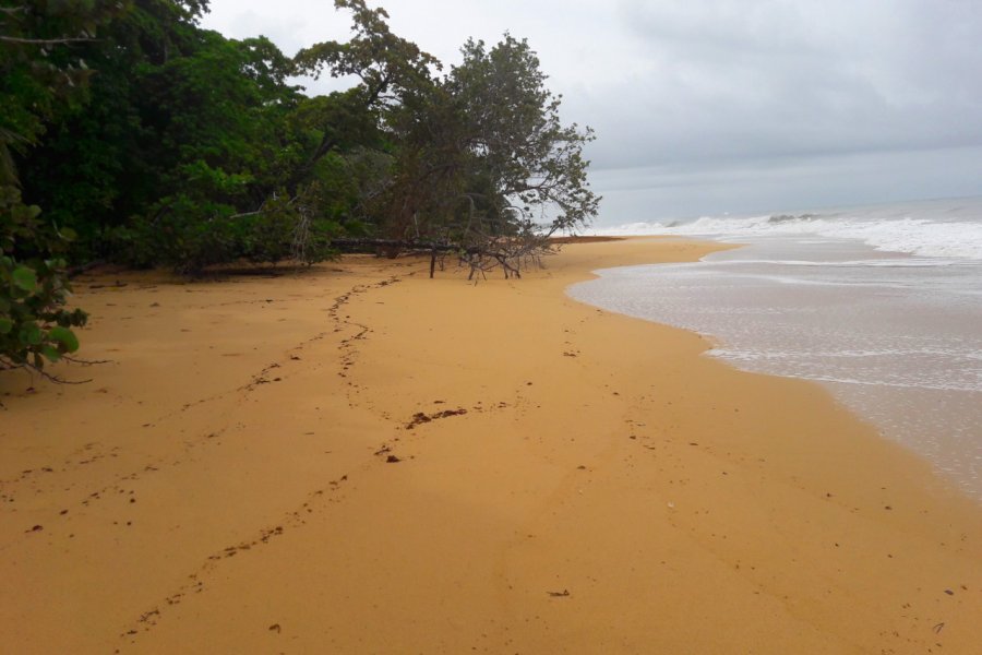 Playa Bluff. Nicolas LHULLIER