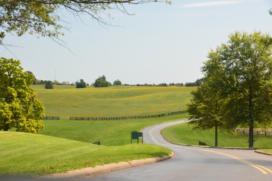 Dans la campagne équestre de Lexington. Nelly  JACQUES