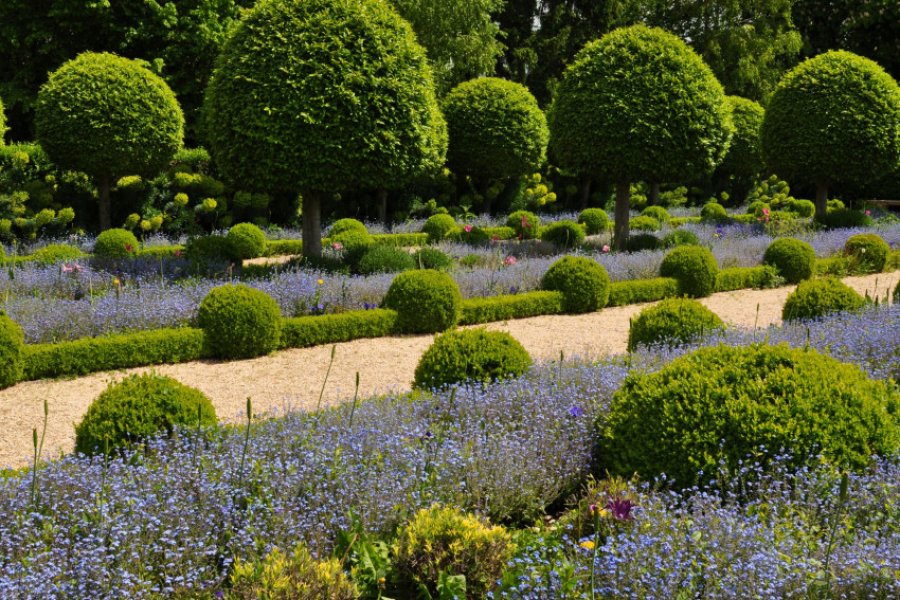 Jardins de l'Orangerie. (© ladybird - stock.adobe.Com))