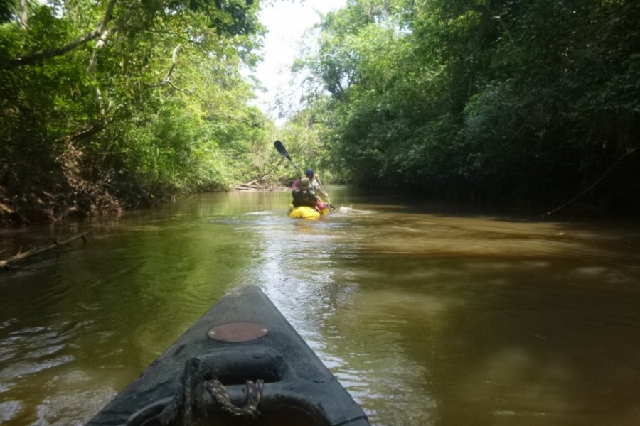 Reserva natural del bosque Mbaracayú. Nicolas Lhullier