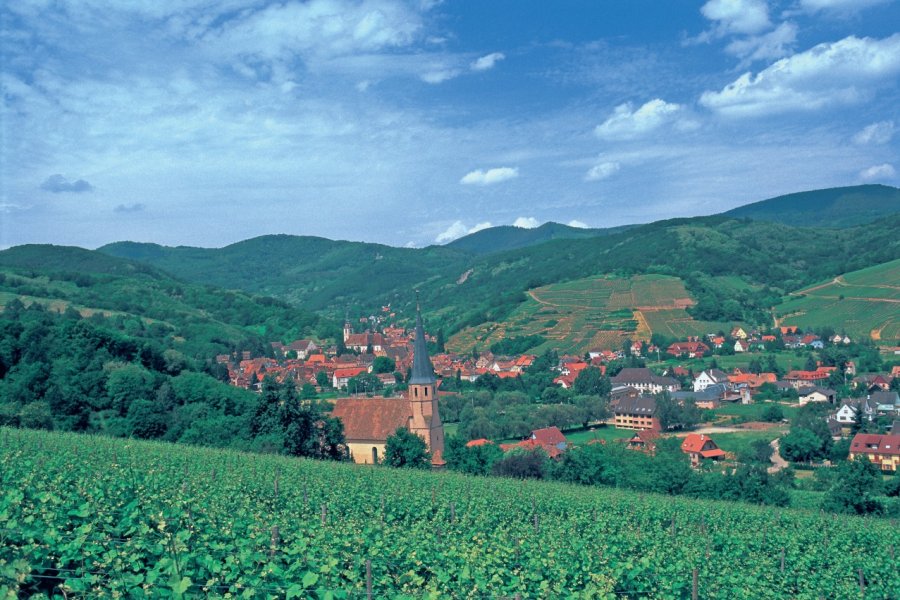 Vue générale d'Andlau. (© S. NICOLAS - ICONOTEC))