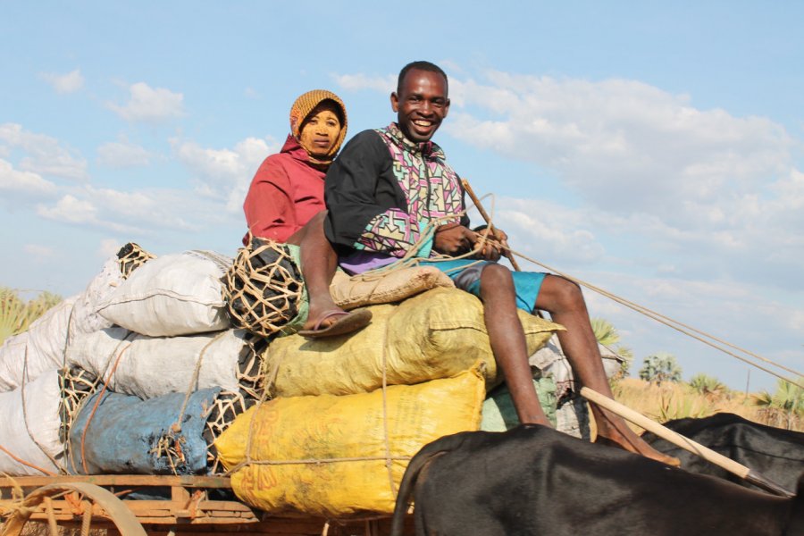 Sourires sur la route de Papamena. Laurent BOSCHERO