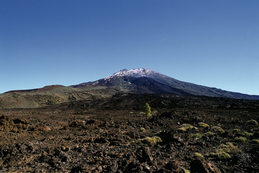 Paysage lunaire du Teide. Author's Image