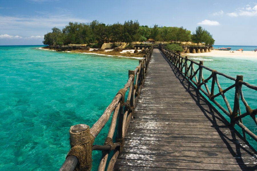 Ponton menant à Changuu Island. Hamady_8183363 - iStockphoto.com