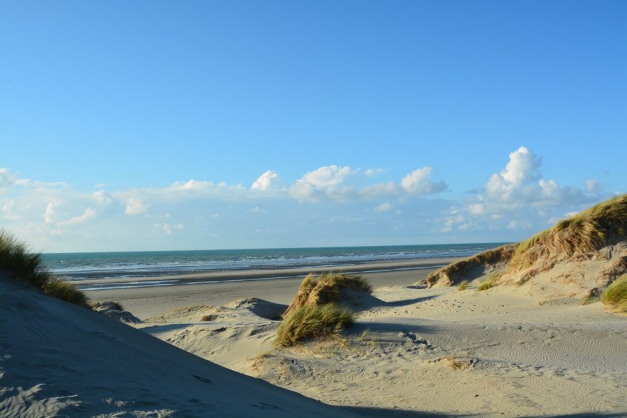 Les dunes et les longues plages de Fort-Mahon offrent un bon bol d'air frais. (© Catherine FAUCHEUX))