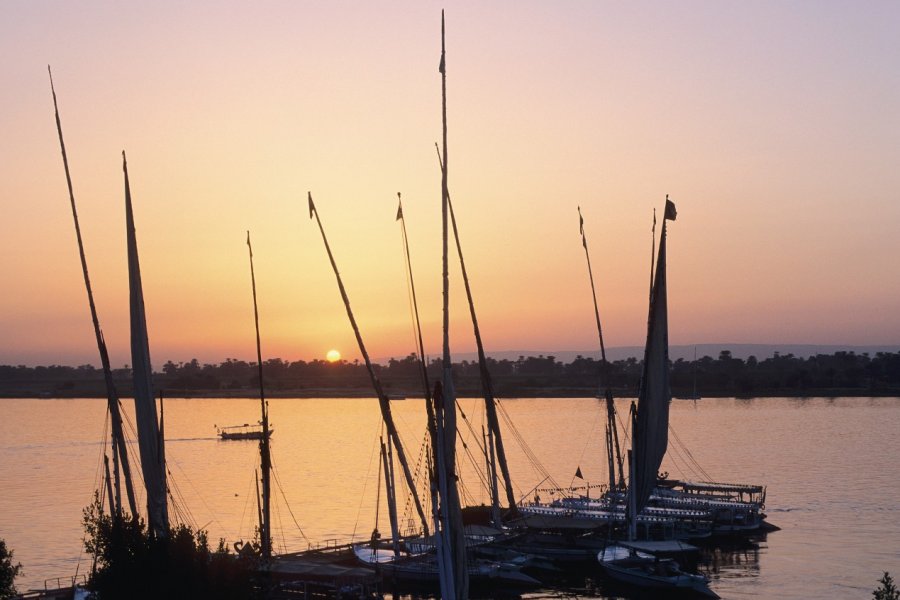 Bord du Nil du côté de la corniche. Author's Image