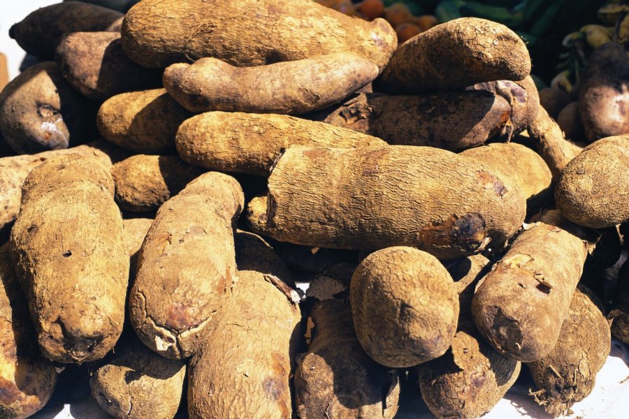 Ignames, des tubercules consommés comme légumes-racines. Author's Image