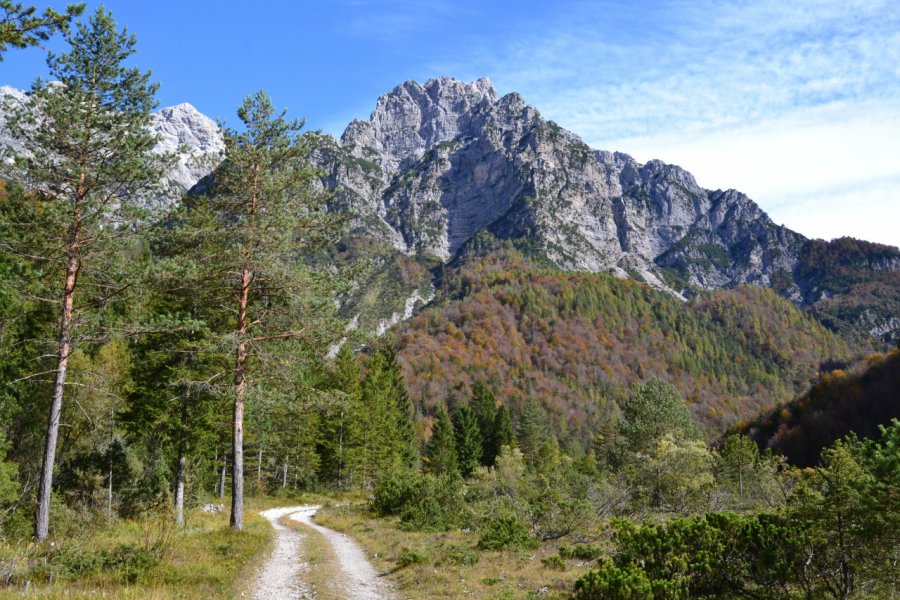 Parc naturel des Dolomites Friulanes. Stefano Gasparotto / Shutterstock.com