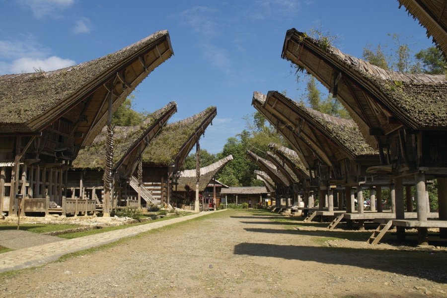 Village de Kete Kesu, maisons Torajas. Léa Smith - Iconotec