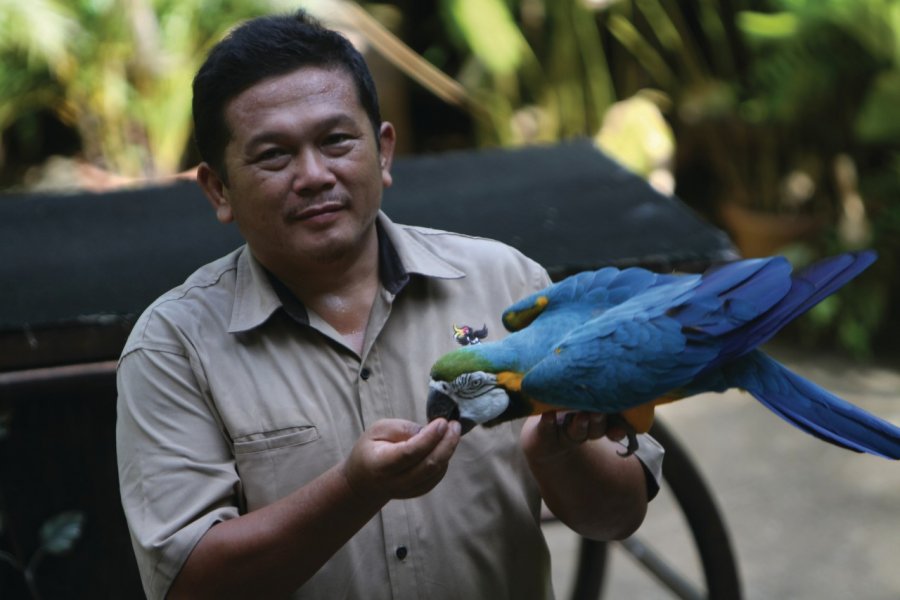 Bird Park de Kuala Lumpur Stéphan SZEREMETA
