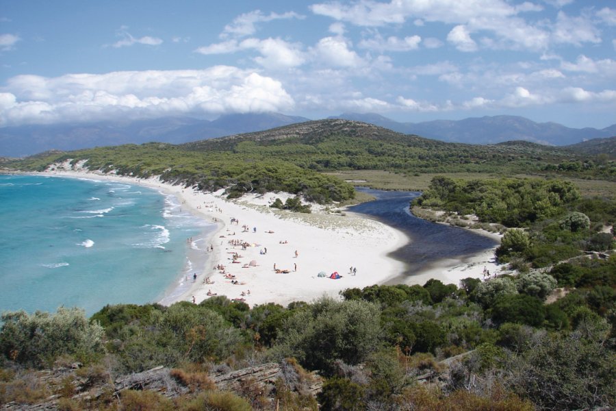 La plage de Saleccia CastaLibre - Fotolia