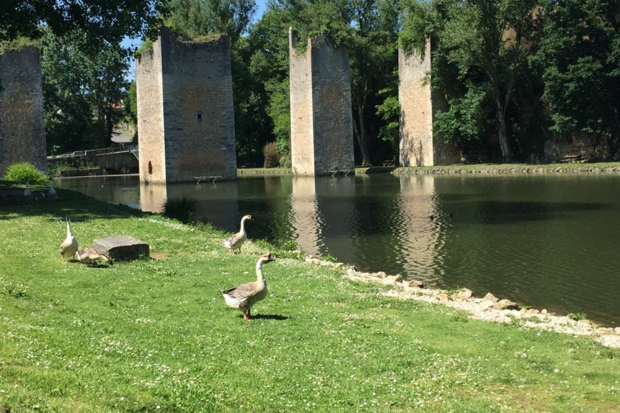 L'étang de Lussac-les-Châteaux. Pauline BELTRAN