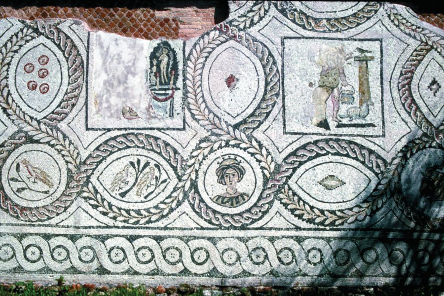 Mosaïque de la Maison des peintures (Casa dei Dipinti). Fototeca ENIT