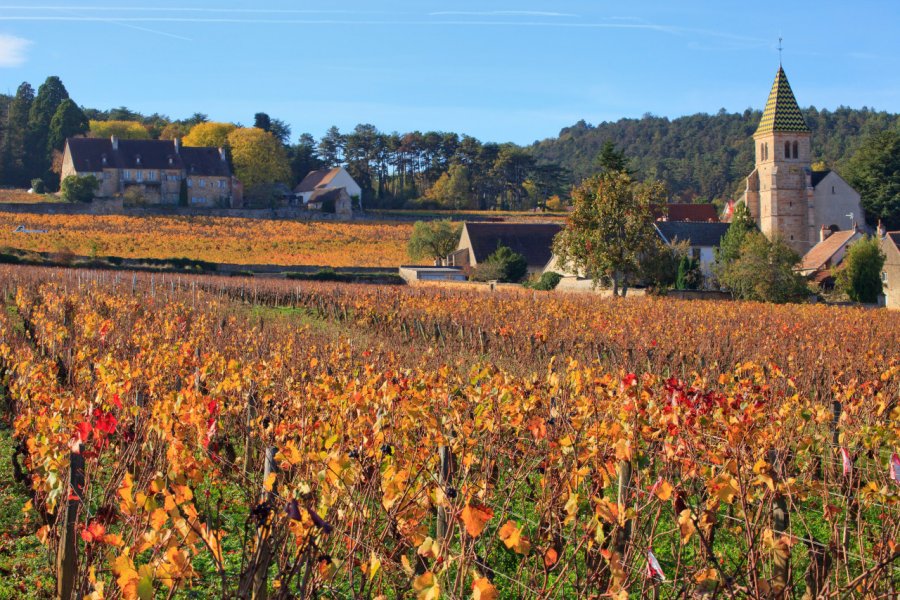 Vue sur Fixin. andre quinou - Shutterstock.com