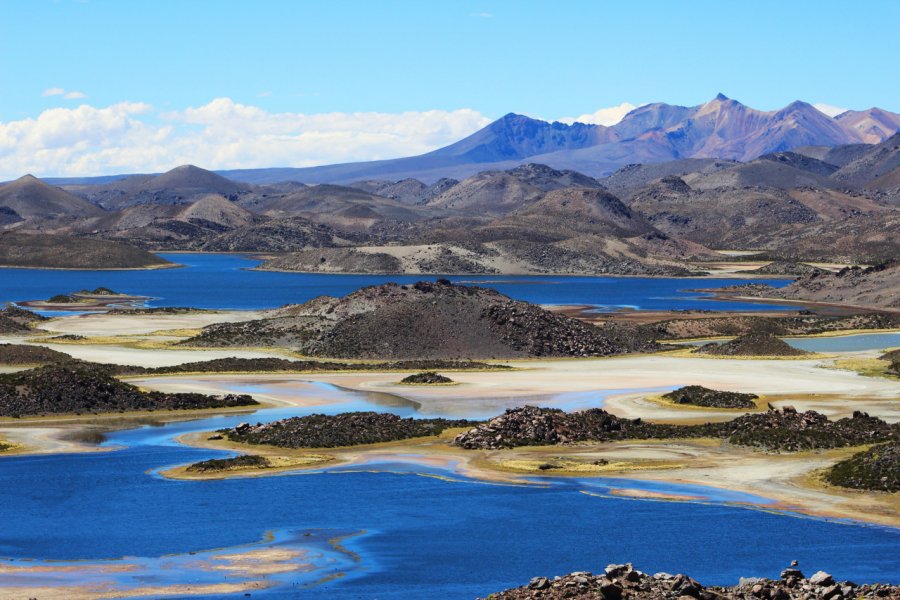 Parc national Lauca. Mapu Fotografia - Shutterstock.com