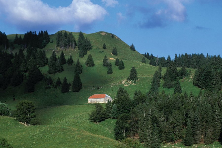 Paysage près de La Pesse PIERRE DELAGUÉRARD - ICONOTEC