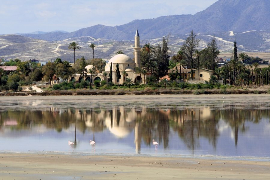 Tekké Hala Sultan, près de Larnaka. Ioannis Ioannou - Shutterstock.com