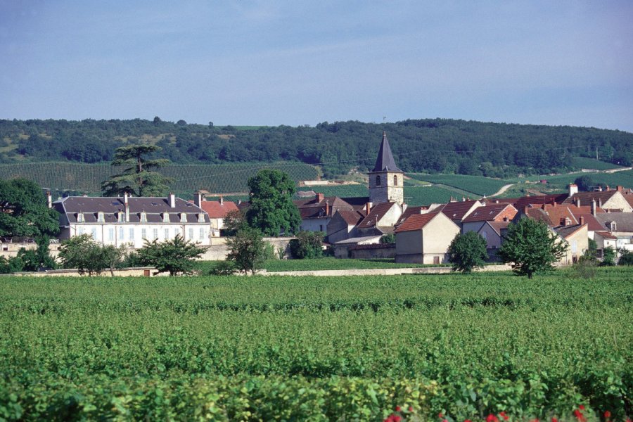 Vue de Vosne-Romanée PHOVOIR