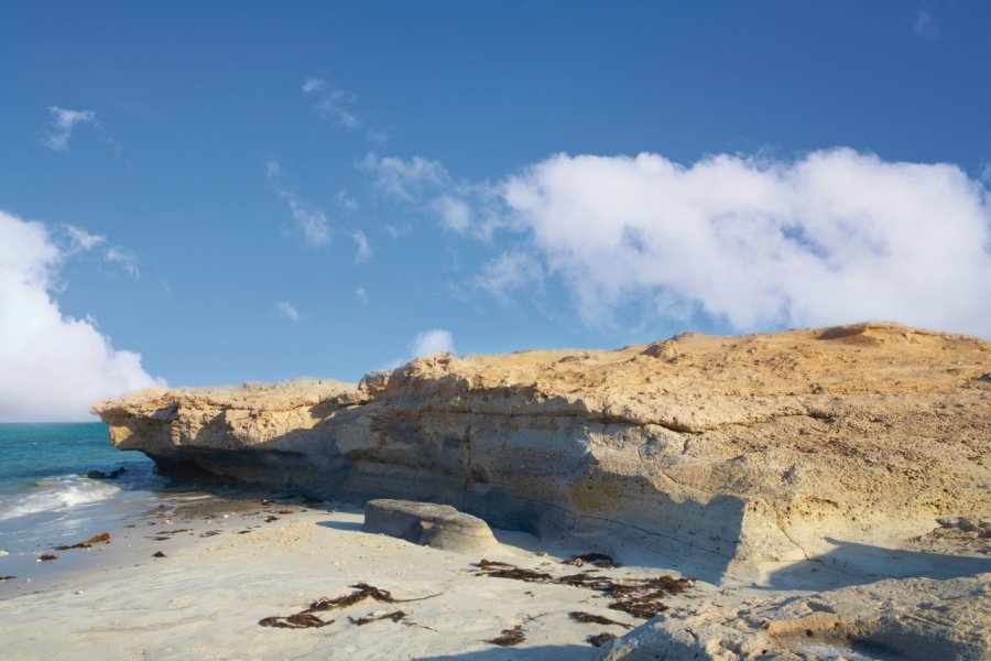 Côte nord du Qatar. forgiss - iStockphoto.com