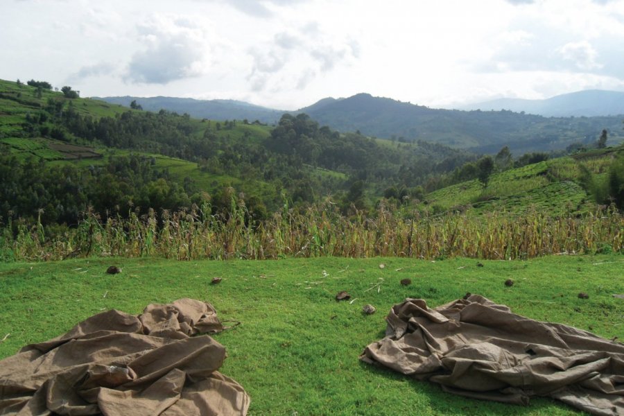 Paysage du Mugamba. Julia GASQUET