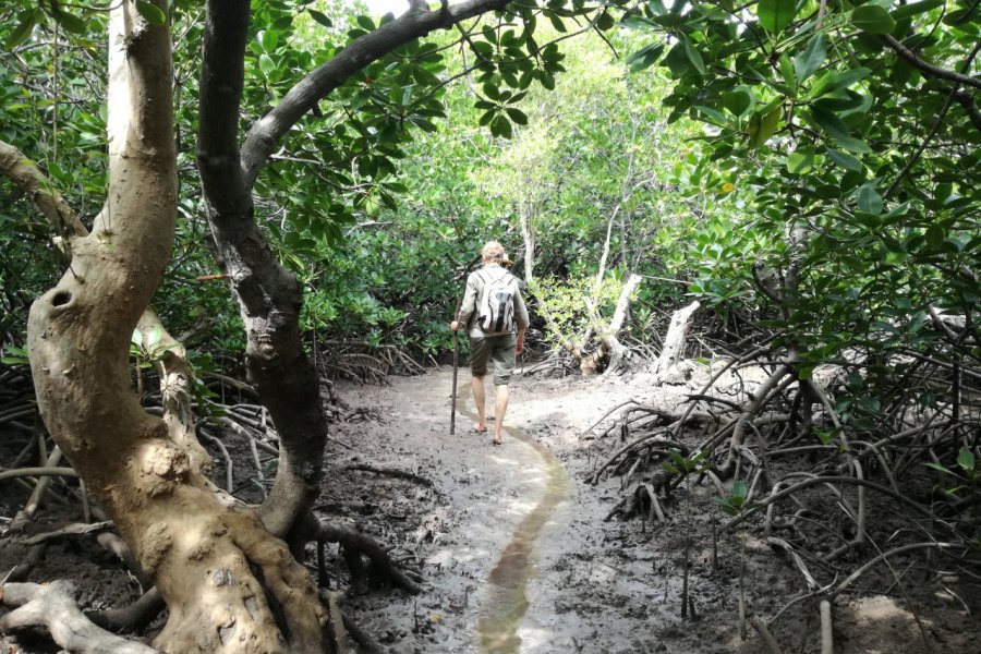 Balade dans la mangrove jusqu'a Quirimba. Elisa Vallon