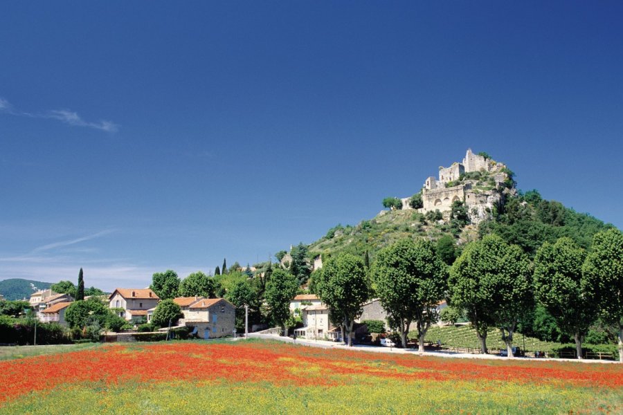 Vue générale d'Entrechaux Irène ALASTRUEY - Author's Image