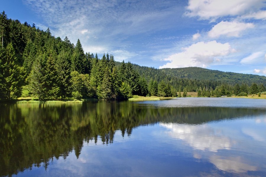 Miroir de la nature - lac de la Seigneurie. Olympixel