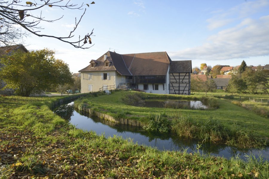 Le Moulin de Courtelevant. Philippe - stock.adobe.com