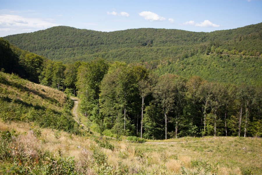 Aggtelek national park. RockerStocker - Shutterstock.com