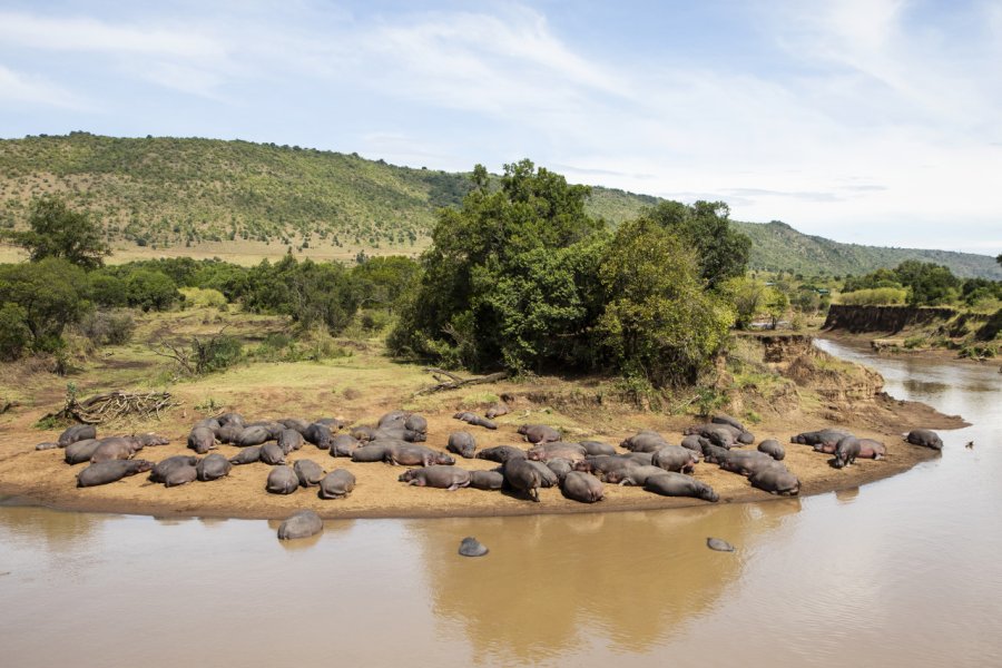 Maasai Mara National Reserve