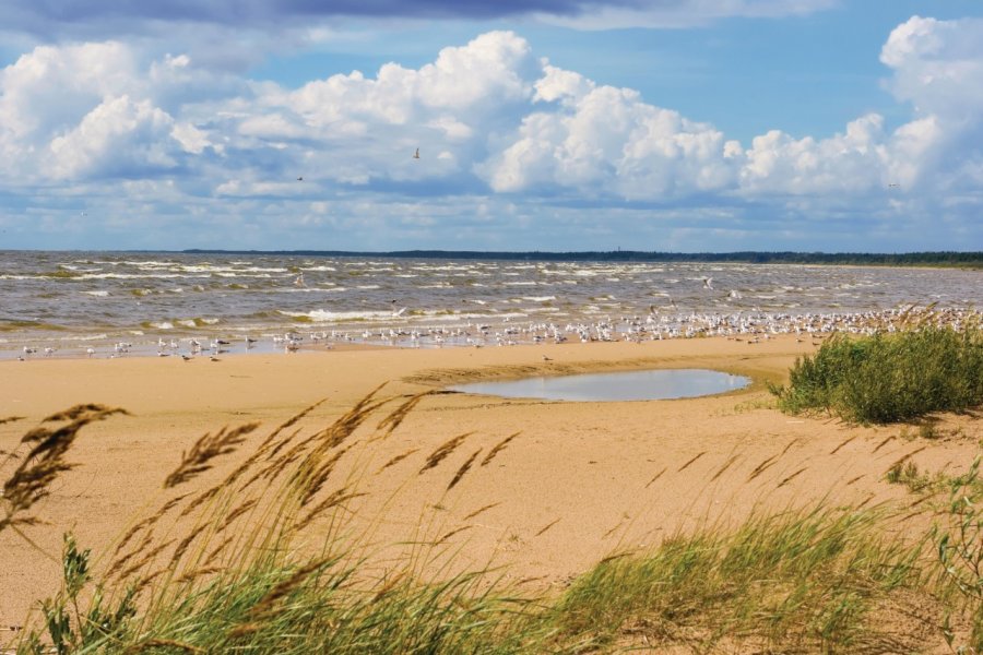 Lac Peipsi. Arsty - iStockphoto.com