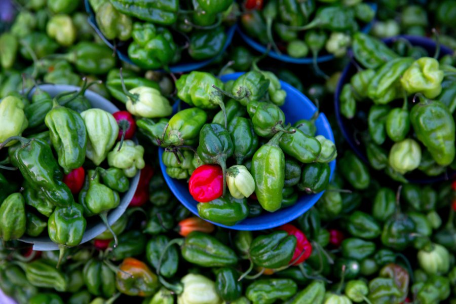 Piments sur le marché de Dapaong. Julian - stock.adobe.com
