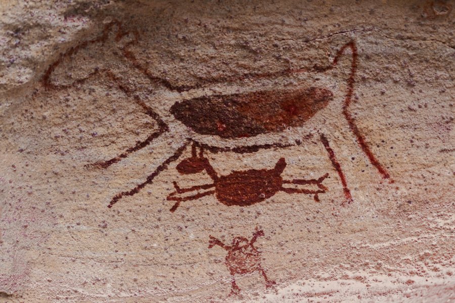 Peintures rupestres, parque nacional da Serra da Capivara. Pedro Helder Pinheiro - Shutterstock.com