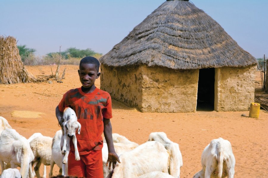 Village de brousse peul. Author's Image