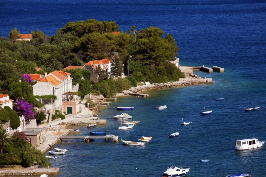 Île de Koločep Anna Biancoloto - Shutterstock.com