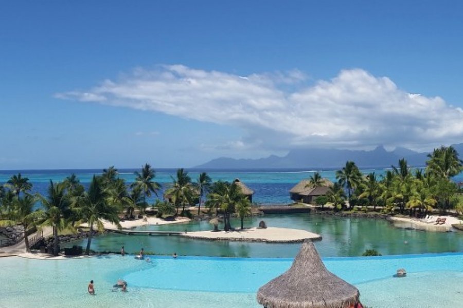 Lagoonarium InterContinental Tahiti Resort & Spa Laurent BOSCHERO