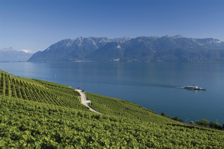 Vignobles de Lavaux et le lac Léman. Sim-crow - Fotolia