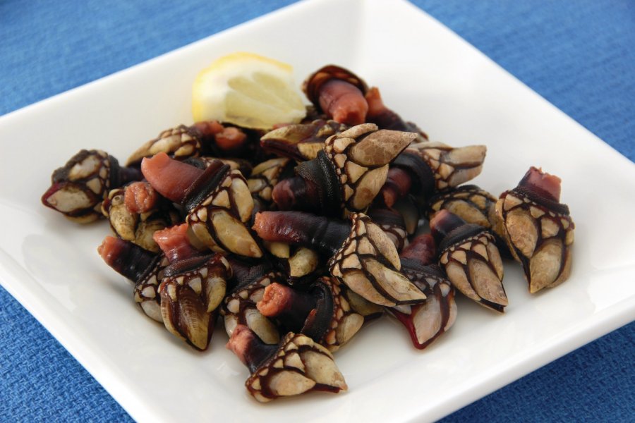 <i>Percebes.</i> sbossert - iStockphoto.com