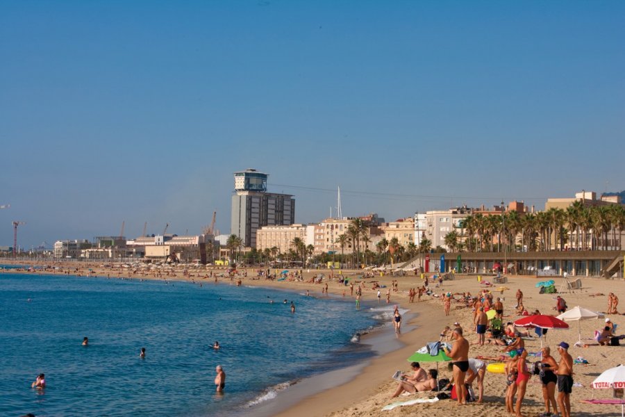 Plage de la Barceloneta. Author's Image
