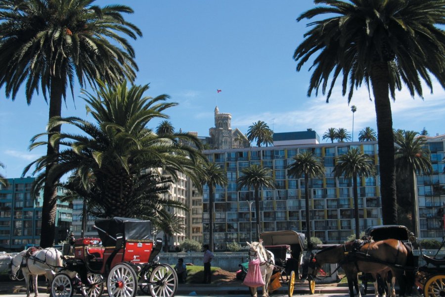 Calèches à Viña del Mar Arnaud BONNEFOY