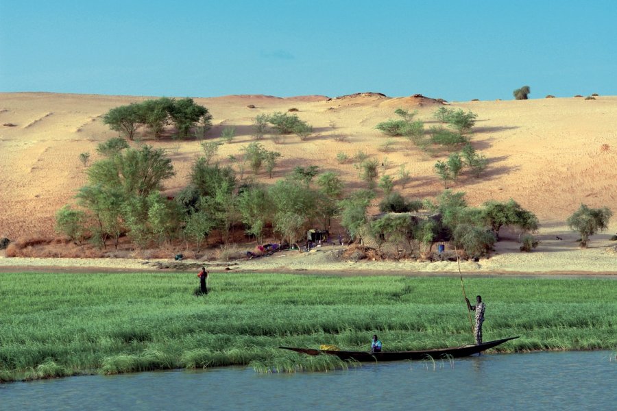Entre Tombouctou et Gao, les dunes plongent dans le lit fertile du fleuve Sébastien CAILLEUX