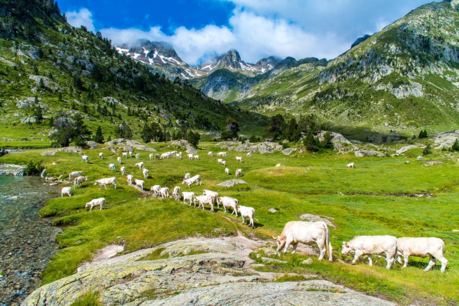 Parc National des Pyrénées. tux04 - Adobe Stock